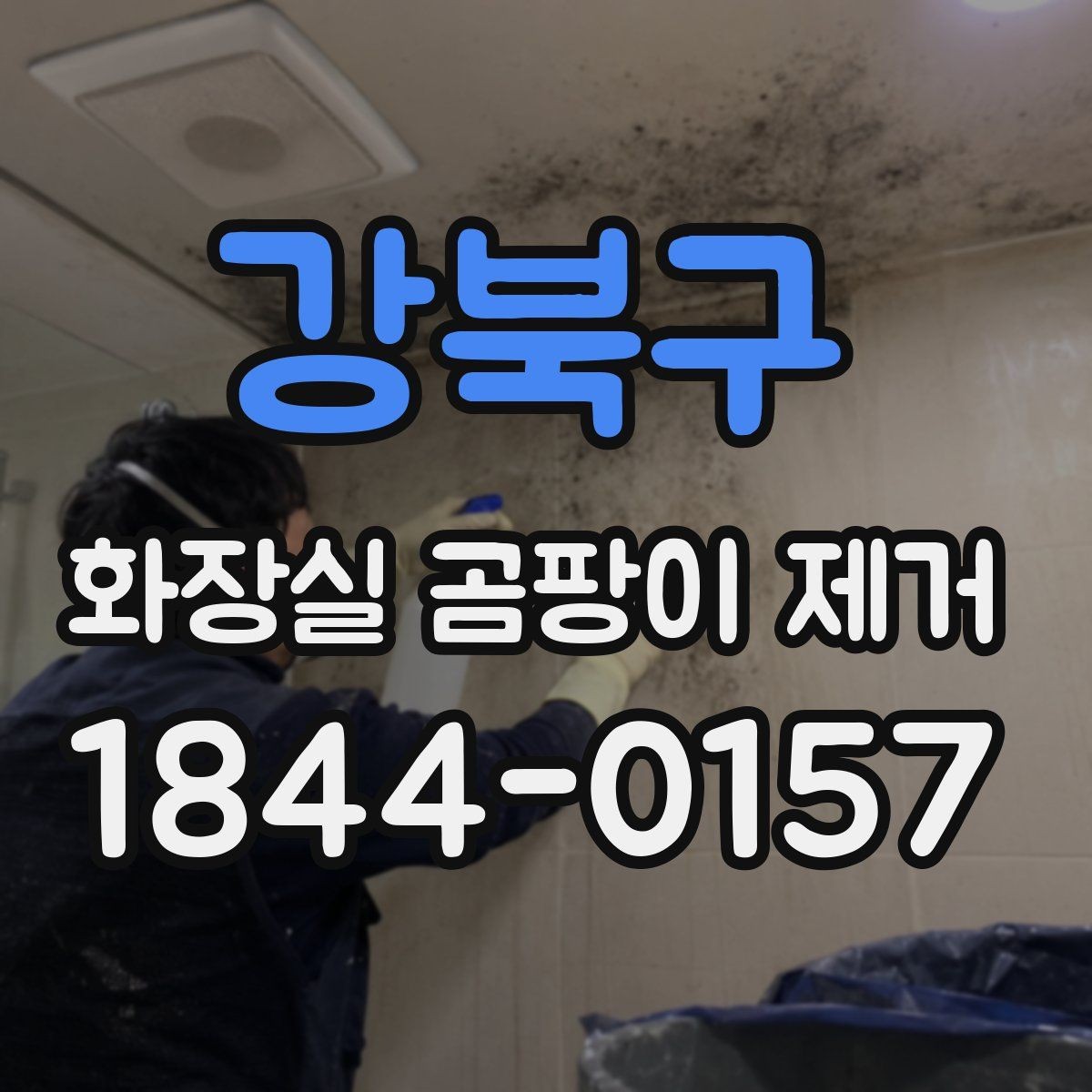 강북구 화장실 곰팡이 제거 타일 자재별 손상 없이 지우는 순서