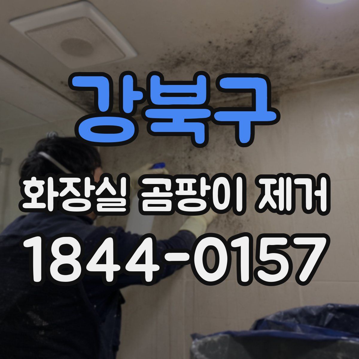 강북구 화장실 곰팡이 제거