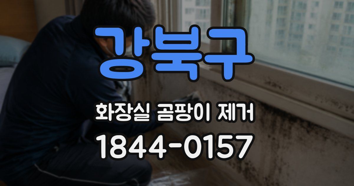 강북구 화장실 곰팡이 제거