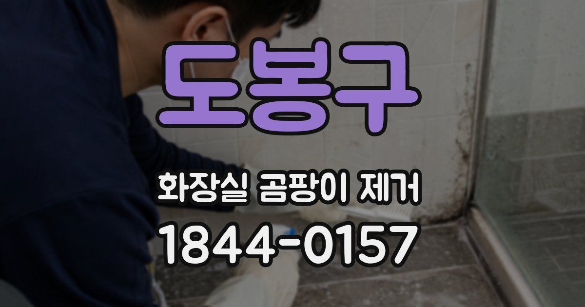 도봉구 화장실 곰팡이 제거