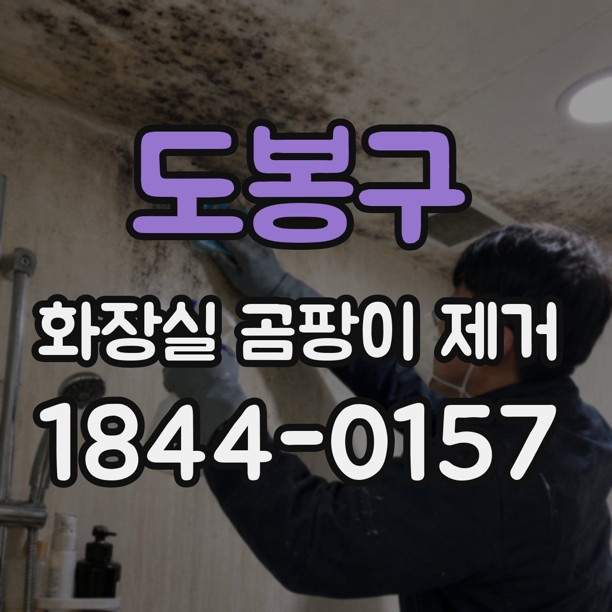 도봉구 화장실 곰팡이 제거