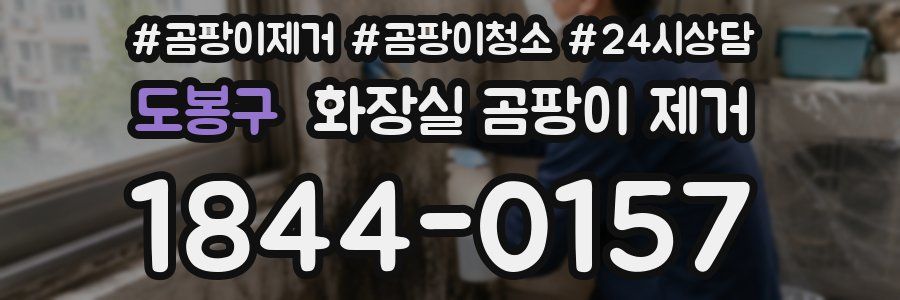 도봉구 화장실 곰팡이 제거