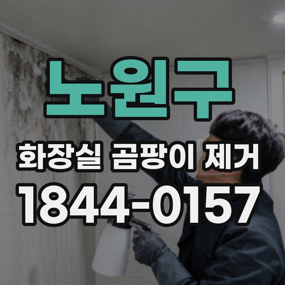 노원구 화장실 곰팡이 제거