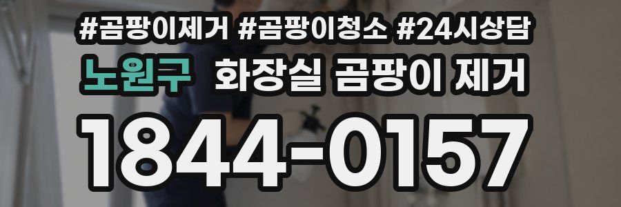 노원구 화장실 곰팡이 제거