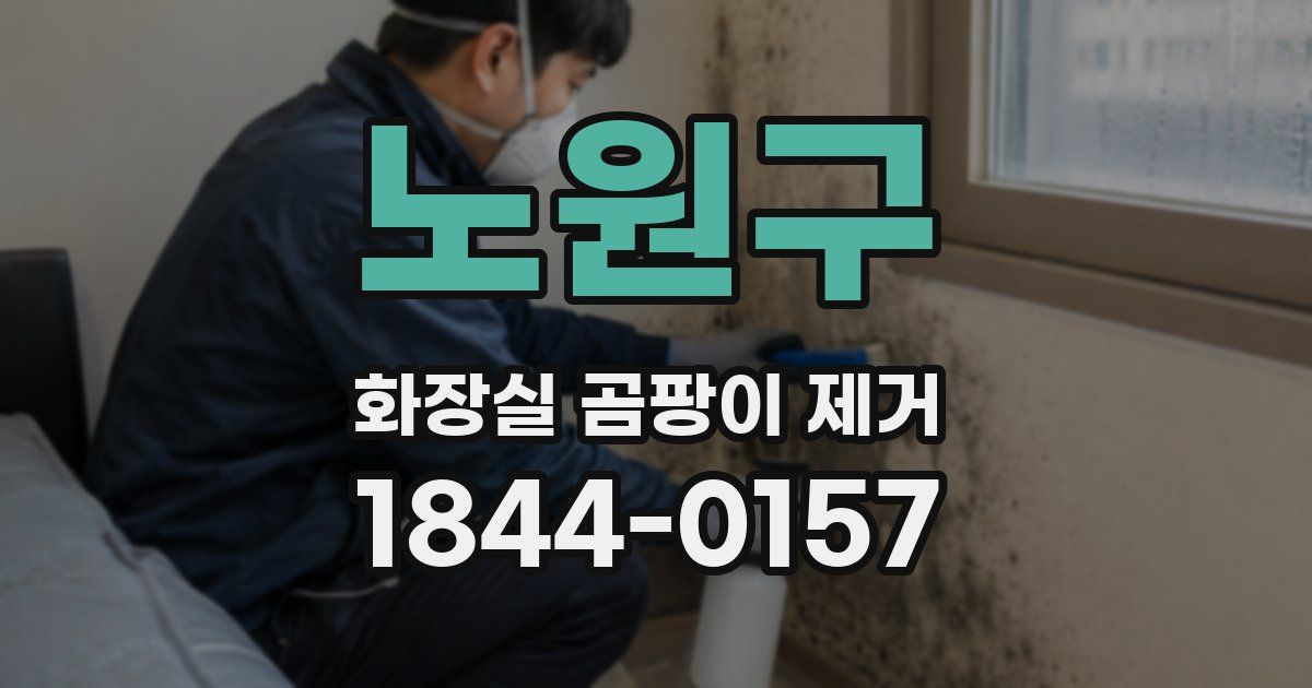 노원구 화장실 곰팡이 제거