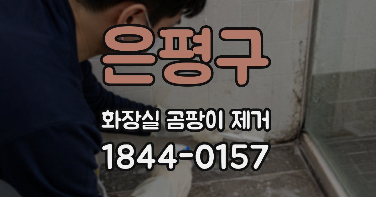 은평구 화장실 곰팡이 제거