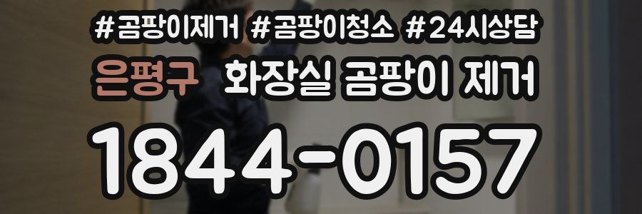 은평구 화장실 곰팡이 제거