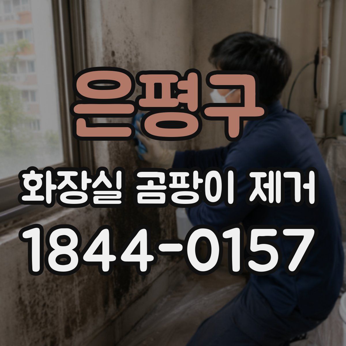 은평구 화장실 곰팡이 제거