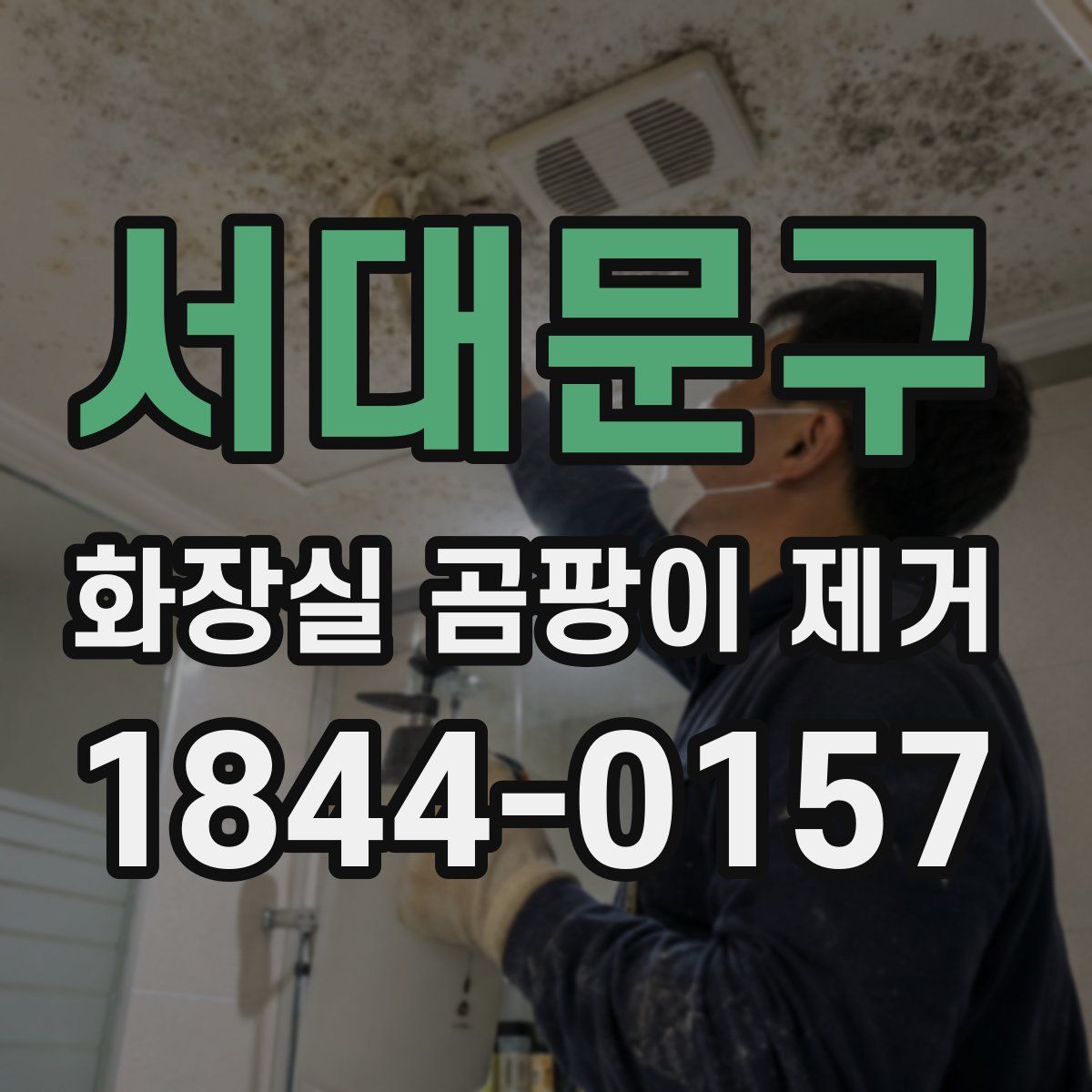서대문구 화장실 곰팡이 제거
