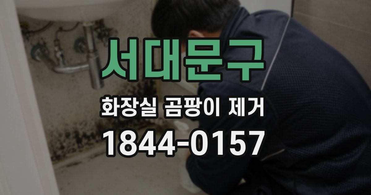 서대문구 화장실 곰팡이 제거