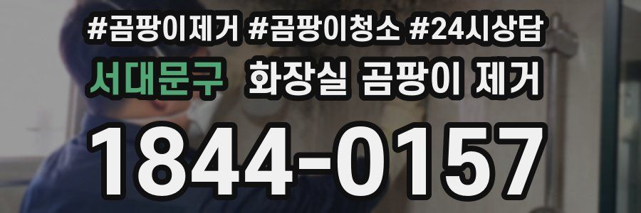 서대문구 화장실 곰팡이 제거