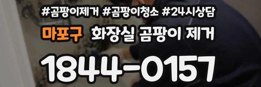 마포구 화장실 곰팡이 제거