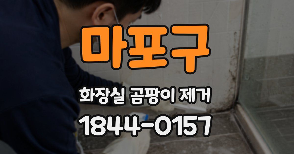 마포구 화장실 곰팡이 제거