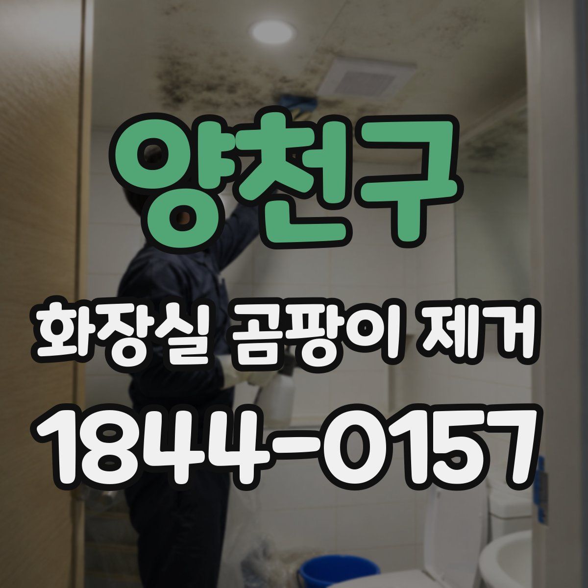 양천구 화장실 곰팡이 제거