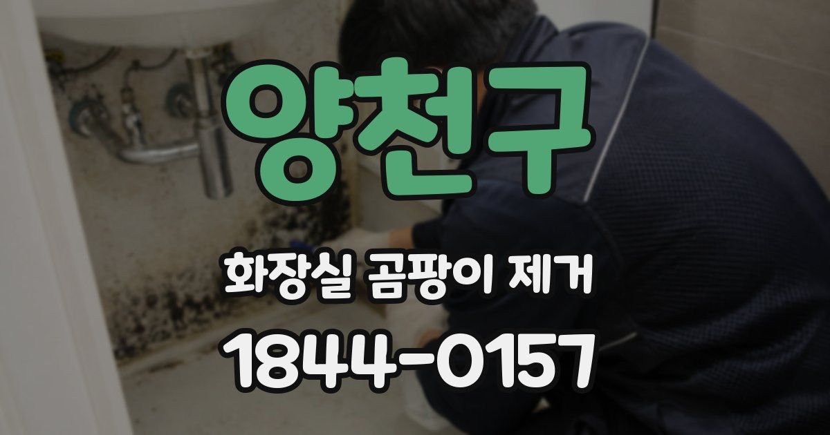 양천구 화장실 곰팡이 제거