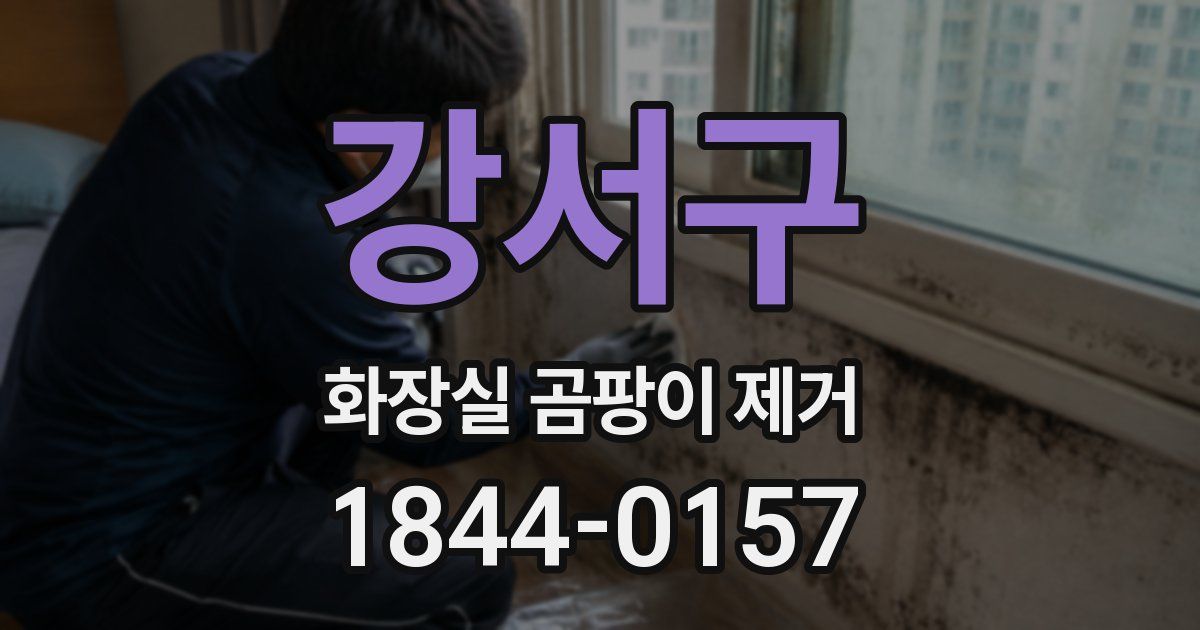 강서구 화장실 곰팡이 제거