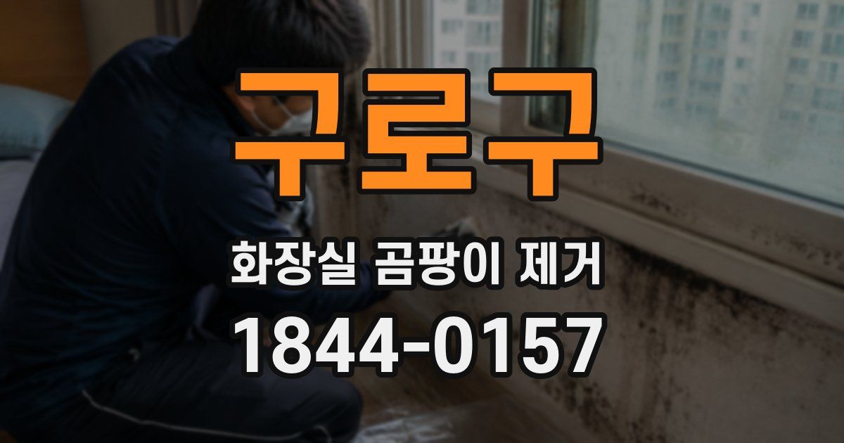 구로구 화장실 곰팡이 제거