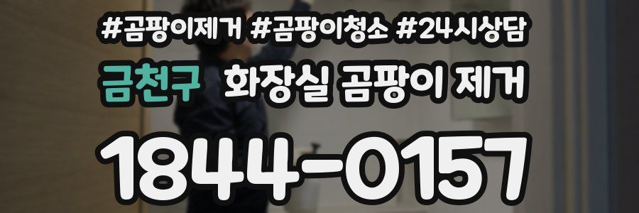 금천구 화장실 곰팡이 제거