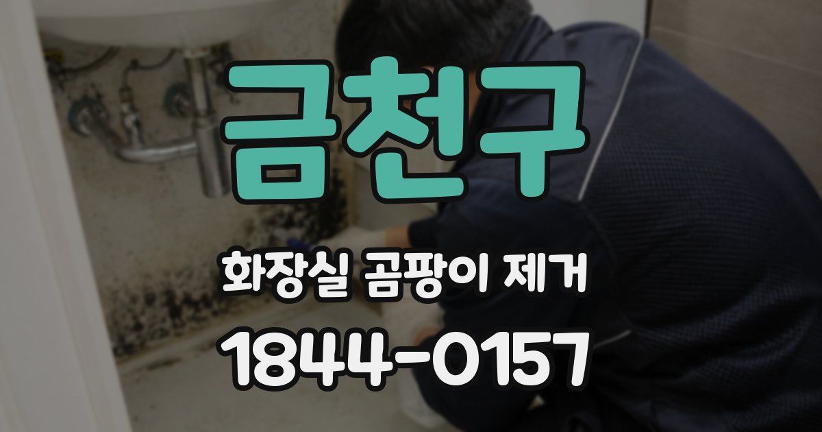 금천구 화장실 곰팡이 제거