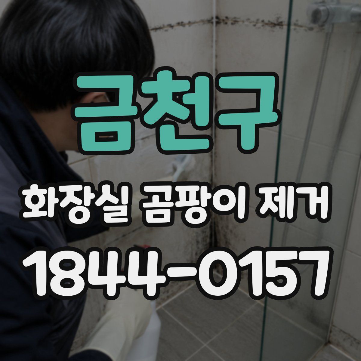 금천구 화장실 곰팡이 제거