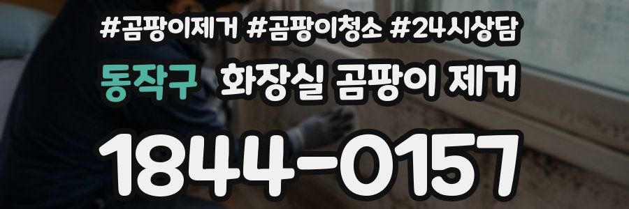 동작구 화장실 곰팡이 제거