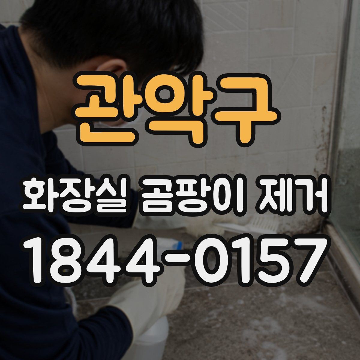 관악구 화장실 곰팡이 제거 중 반려동물 노출을 줄이는 실내 관리법