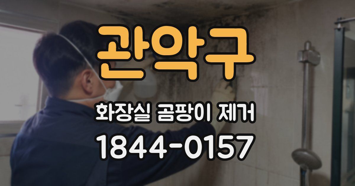 관악구 화장실 곰팡이 제거
