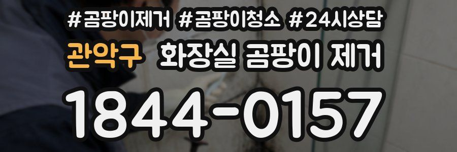 관악구 화장실 곰팡이 제거