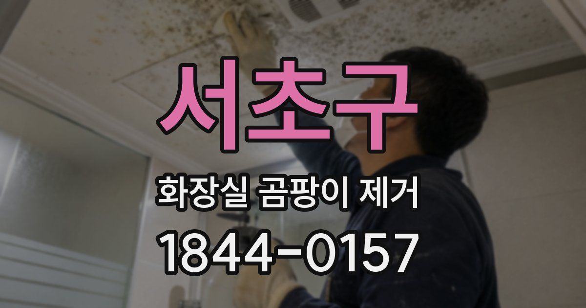 서초구 화장실 곰팡이 제거