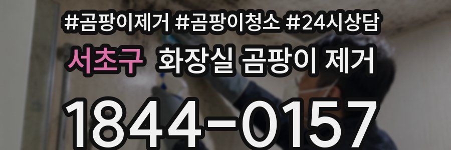 서초구 화장실 곰팡이 제거