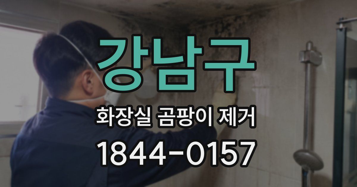 강남구 화장실 곰팡이 제거