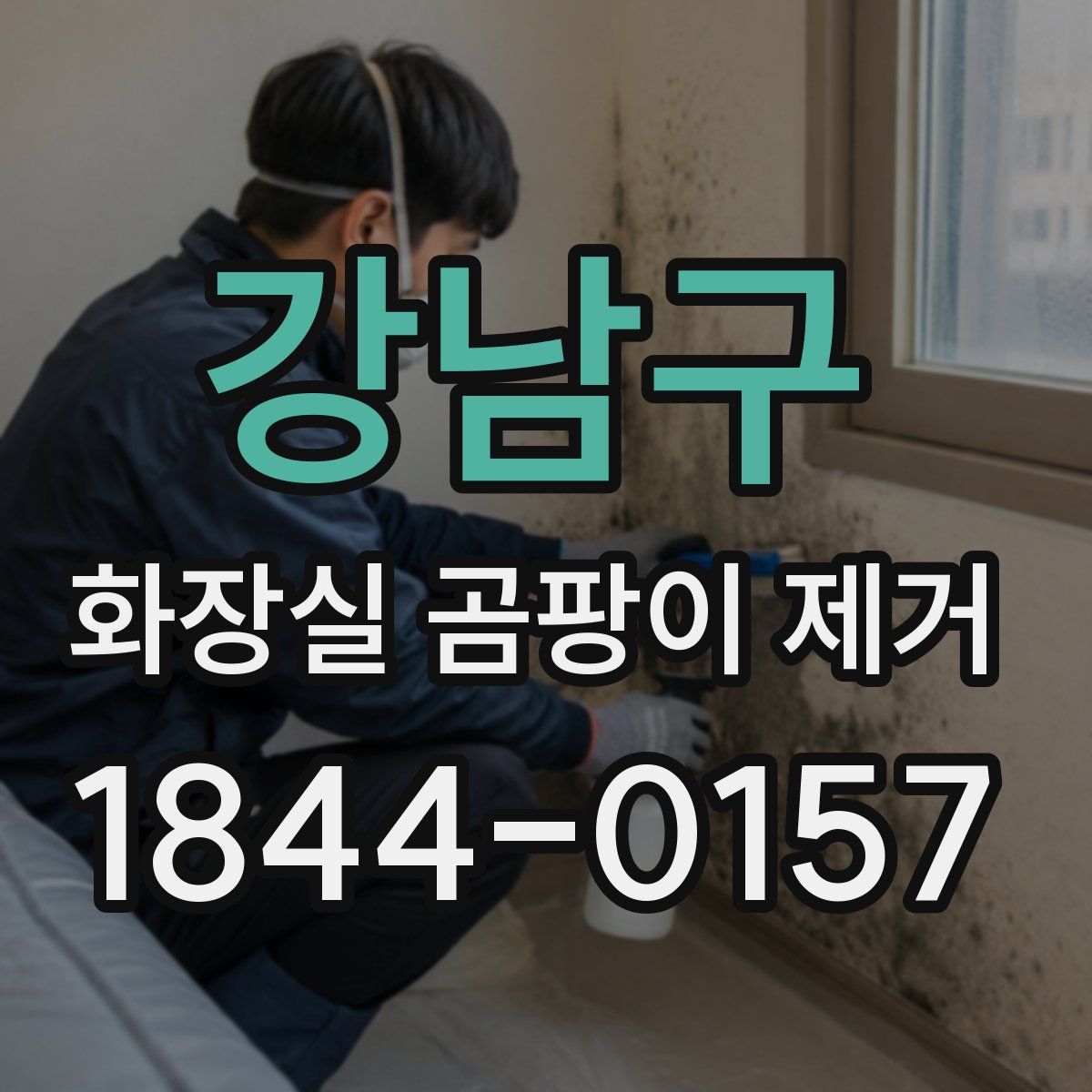 강남구 화장실 곰팡이 제거