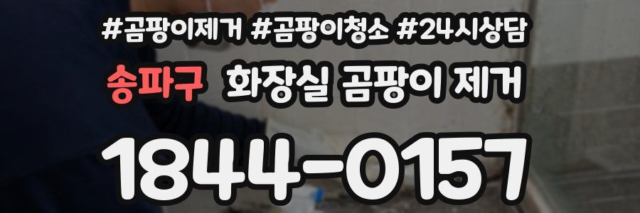 송파구 화장실 곰팡이 제거