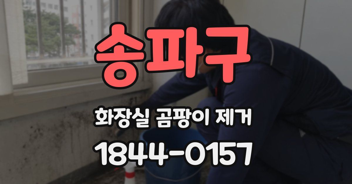 송파구 화장실 곰팡이 제거