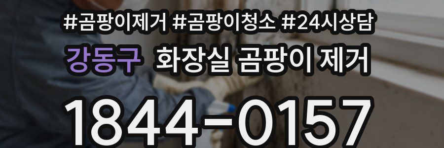 강동구 화장실 곰팡이 제거