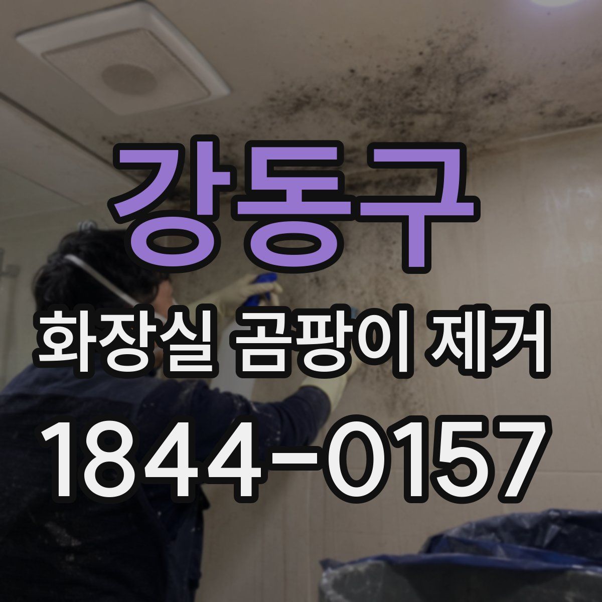 강동구 화장실 곰팡이 제거