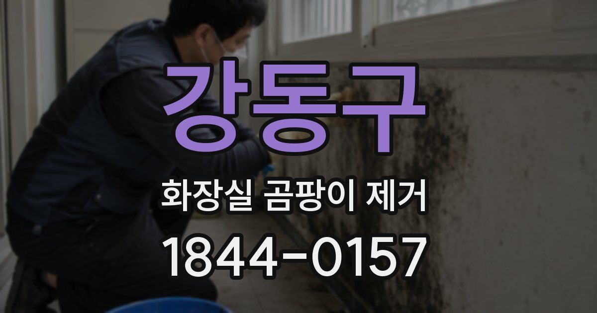 강동구 화장실 곰팡이 제거