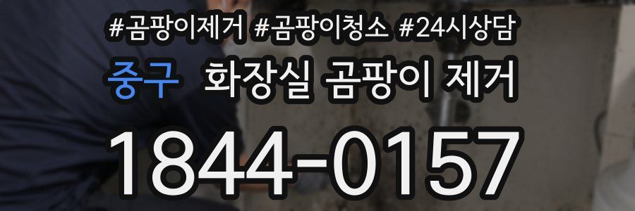중구 화장실 곰팡이 제거