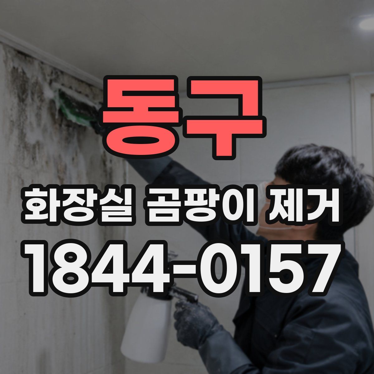 동구 화장실 곰팡이 제거