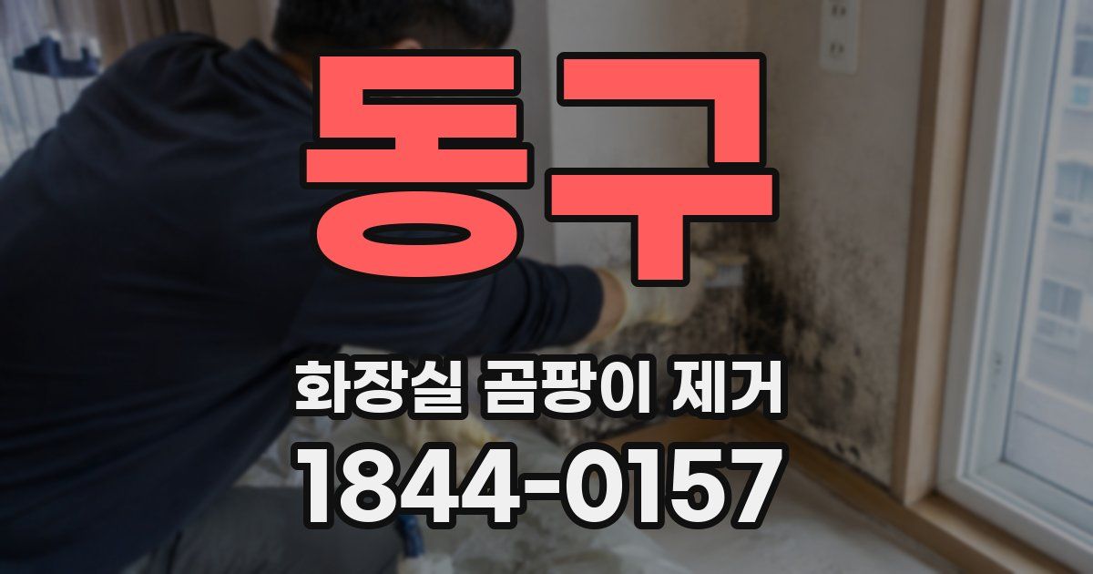 동구 화장실 곰팡이 제거