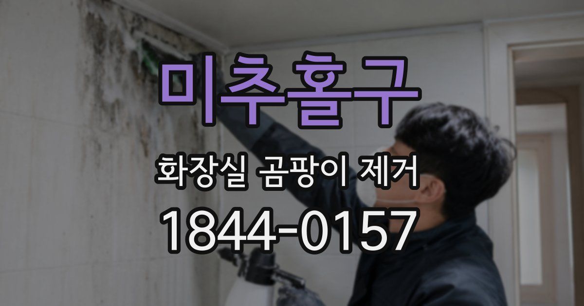 미추홀구 화장실 곰팡이 제거