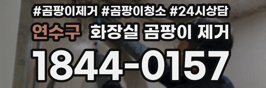 연수구 화장실 곰팡이 제거