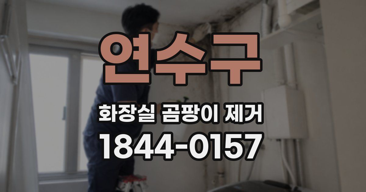 연수구 화장실 곰팡이 제거