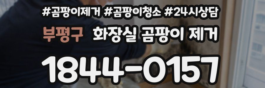부평구 화장실 곰팡이 제거