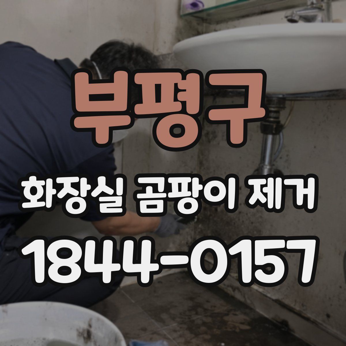 부평구 화장실 곰팡이 제거