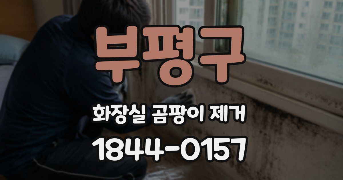 부평구 화장실 곰팡이 제거