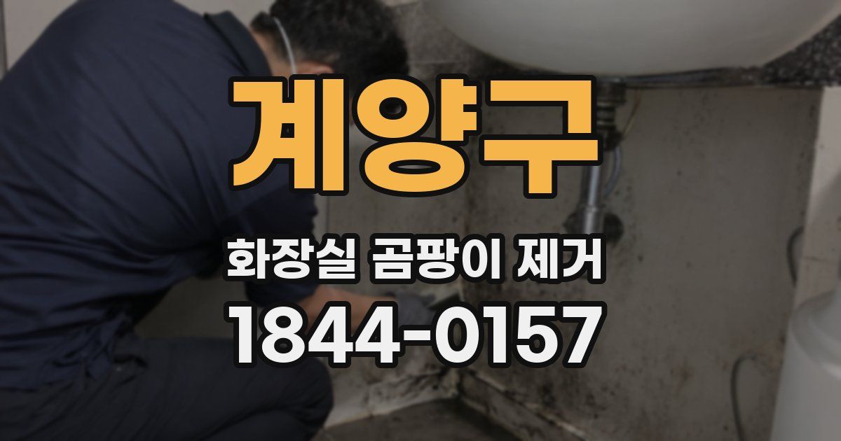 계양구 화장실 곰팡이 제거
