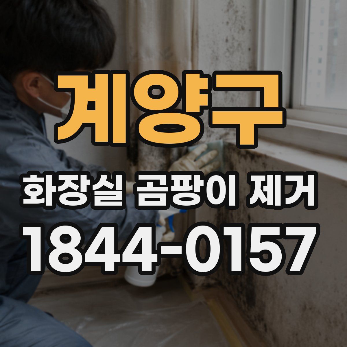 계양구 화장실 곰팡이 제거