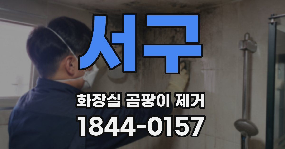 서구 화장실 곰팡이 제거