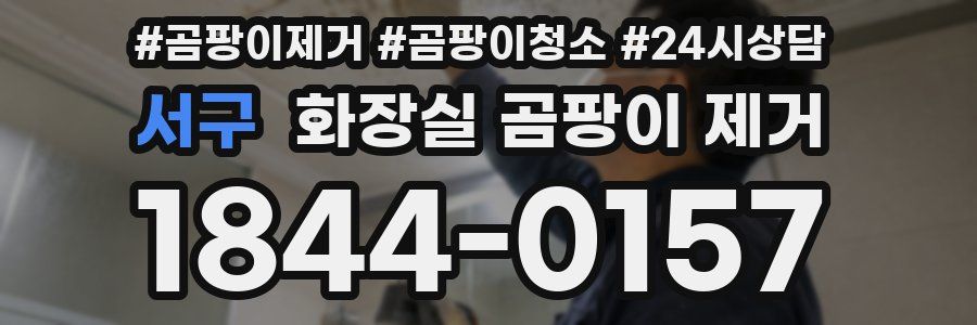 서구 화장실 곰팡이 제거